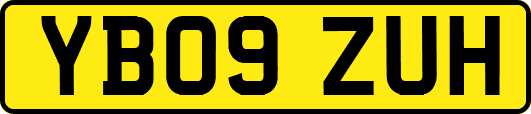 YB09ZUH