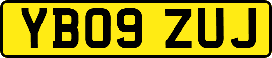 YB09ZUJ