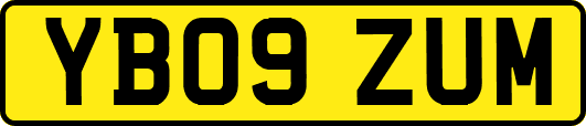 YB09ZUM