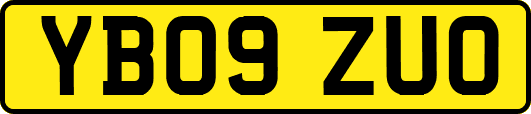 YB09ZUO