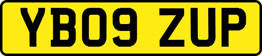 YB09ZUP