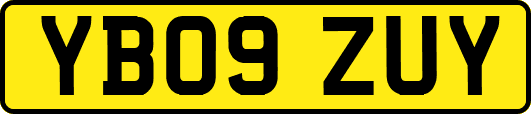 YB09ZUY