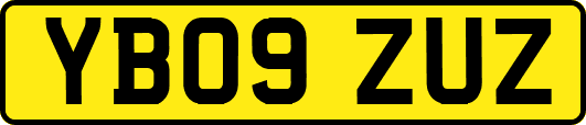 YB09ZUZ