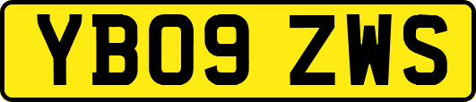 YB09ZWS