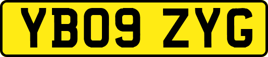 YB09ZYG