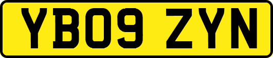 YB09ZYN