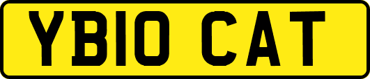 YB10CAT