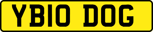 YB10DOG