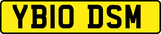 YB10DSM
