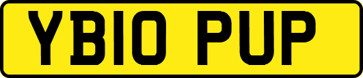 YB10PUP