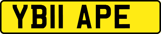 YB11APE