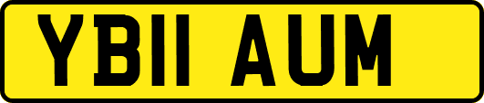 YB11AUM