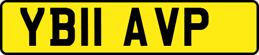 YB11AVP