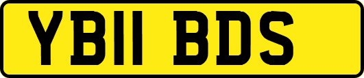 YB11BDS