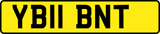 YB11BNT