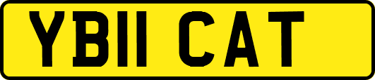 YB11CAT