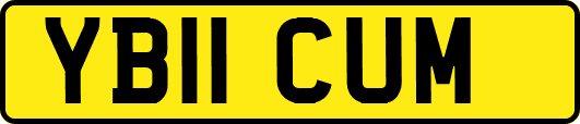 YB11CUM