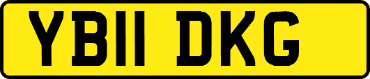 YB11DKG