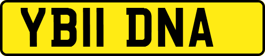 YB11DNA