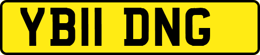 YB11DNG