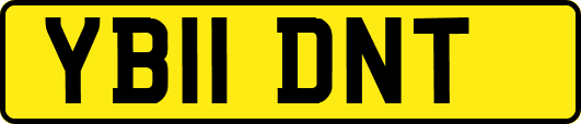 YB11DNT