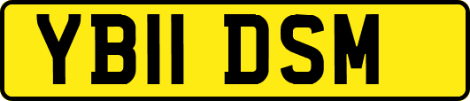 YB11DSM