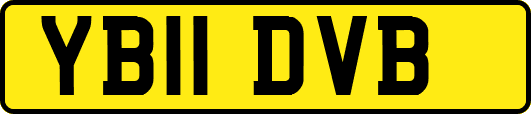 YB11DVB