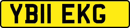 YB11EKG