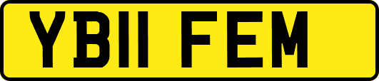 YB11FEM