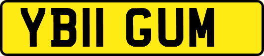 YB11GUM