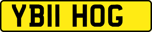 YB11HOG