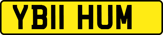 YB11HUM