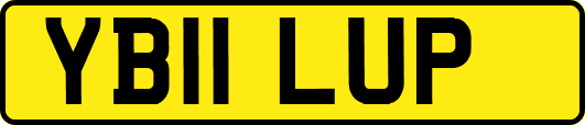 YB11LUP