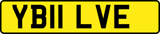 YB11LVE