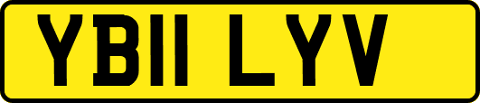 YB11LYV