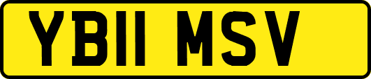 YB11MSV