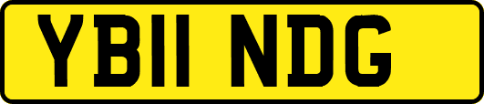 YB11NDG