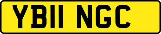 YB11NGC
