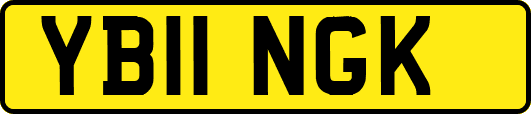 YB11NGK