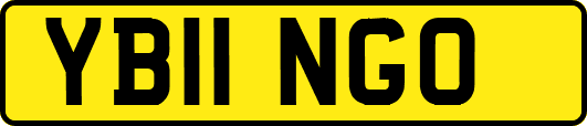 YB11NGO