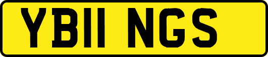 YB11NGS