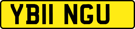 YB11NGU
