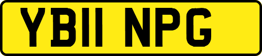 YB11NPG
