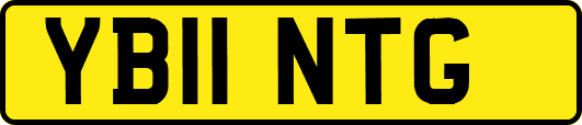 YB11NTG