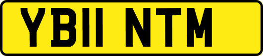 YB11NTM