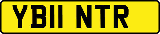 YB11NTR