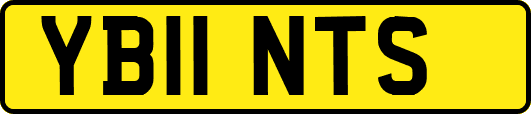 YB11NTS