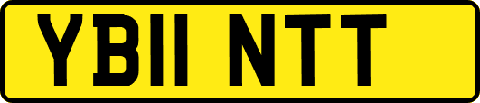YB11NTT