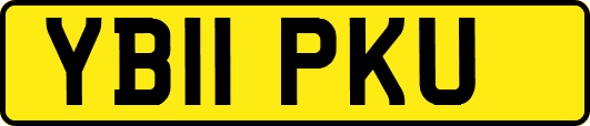 YB11PKU