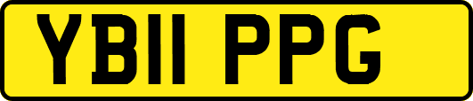 YB11PPG